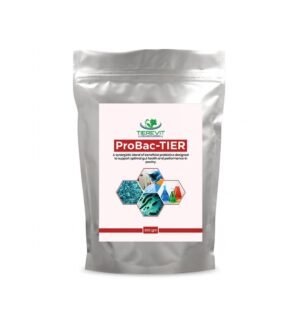 ProBac-TIER